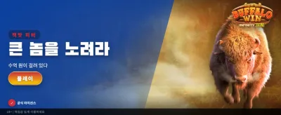 강력한 한 방! 버팔로 윈의 주인공 banner image